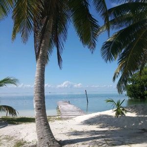 Meet your Posher, Jess